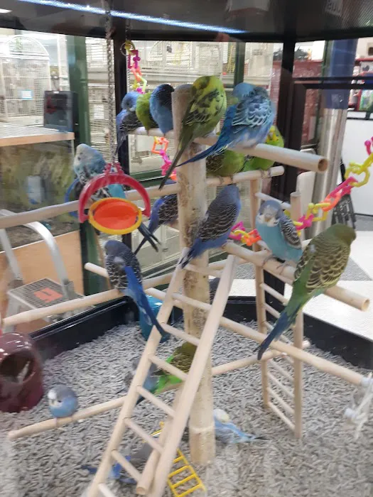Petco Picture 8