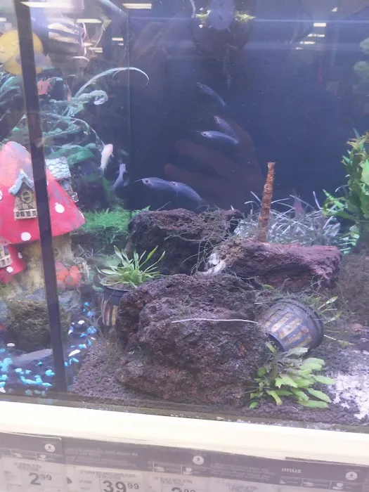 Petco Picture 3