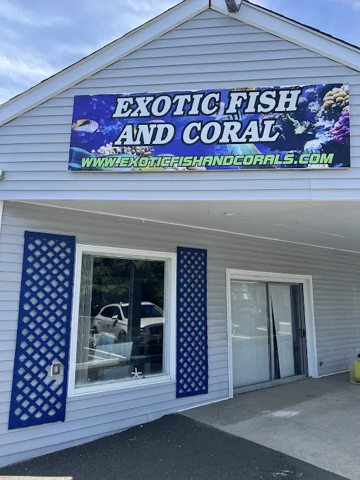 Exotic Fish & Corals Picture 1
