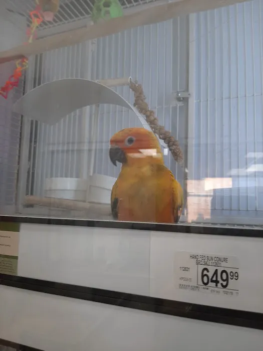 Petco Picture 8