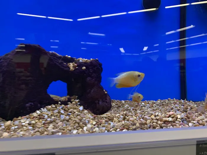 Petco Picture 4