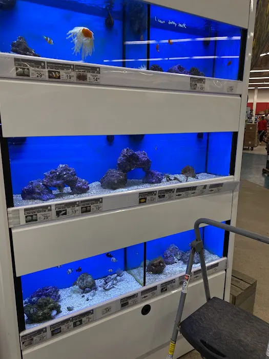 Petco Picture 6