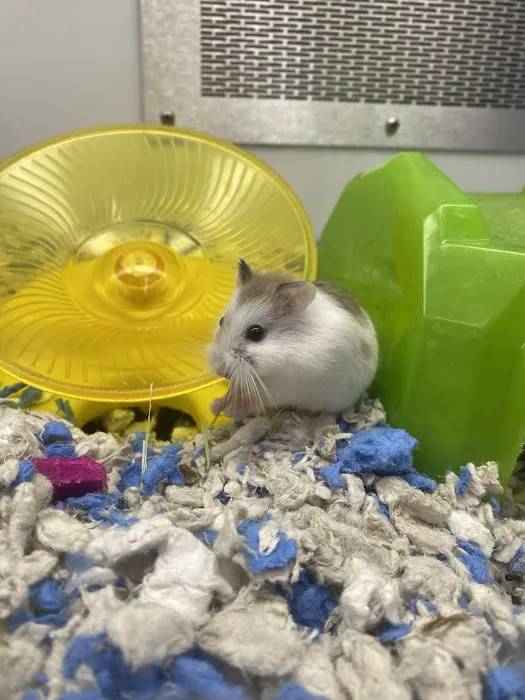 Petco Picture 10