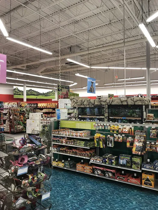 Petco Picture 7