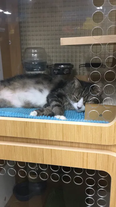 Petco Picture 5