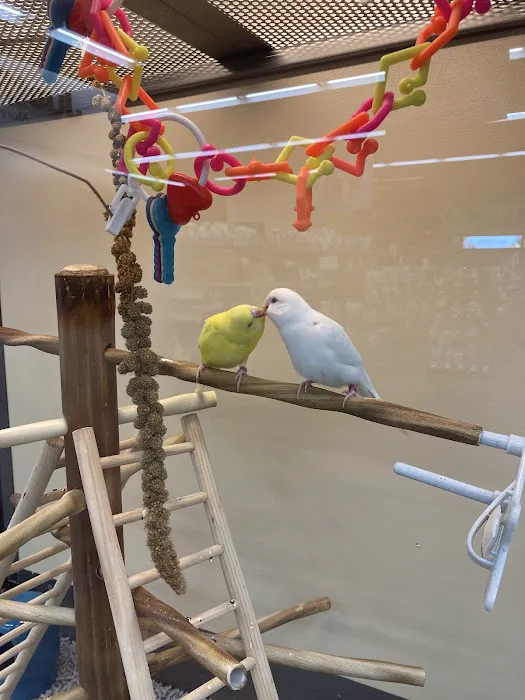 Petco Picture 8