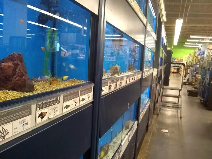 Petco Picture 1