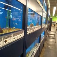 Petco ico