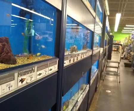Petco