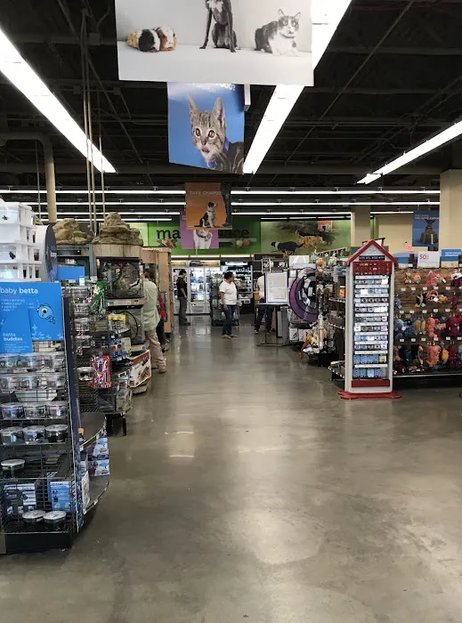 Petco Picture 2