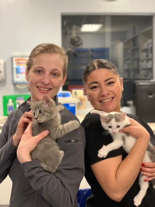 Veterinary Care Group - Little Neck Picture 6