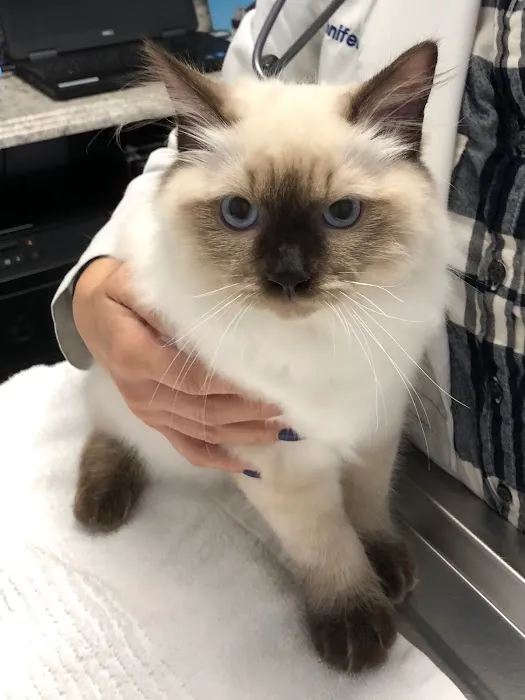Veterinary Care Group - Little Neck Picture 4