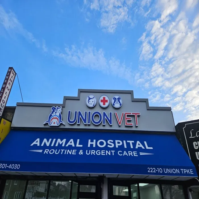 Union Vet Picture 9