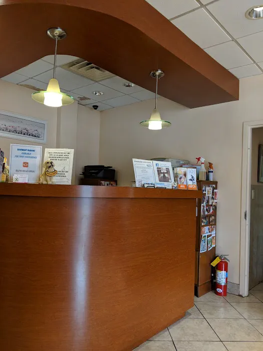 Little Neck Veterinary Clinic Picture 1