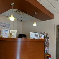 Little Neck Veterinary Clinic ico