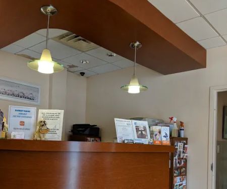 Little Neck Veterinary Clinic