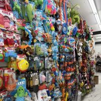 East Pets LLC ico