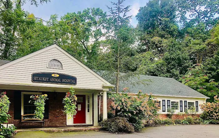 Setauket Animal Hospital Picture 3