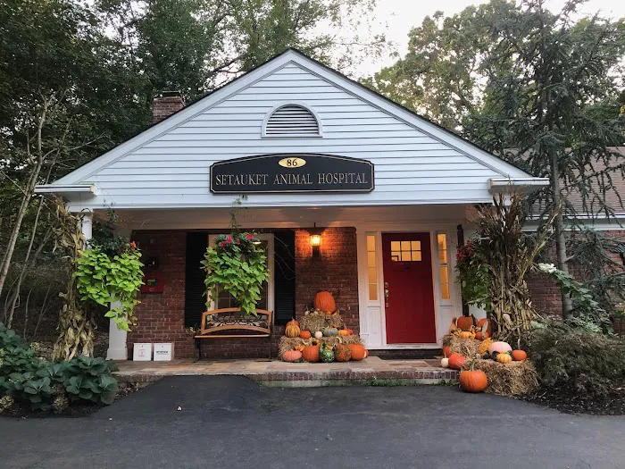 Setauket Animal Hospital Picture 6
