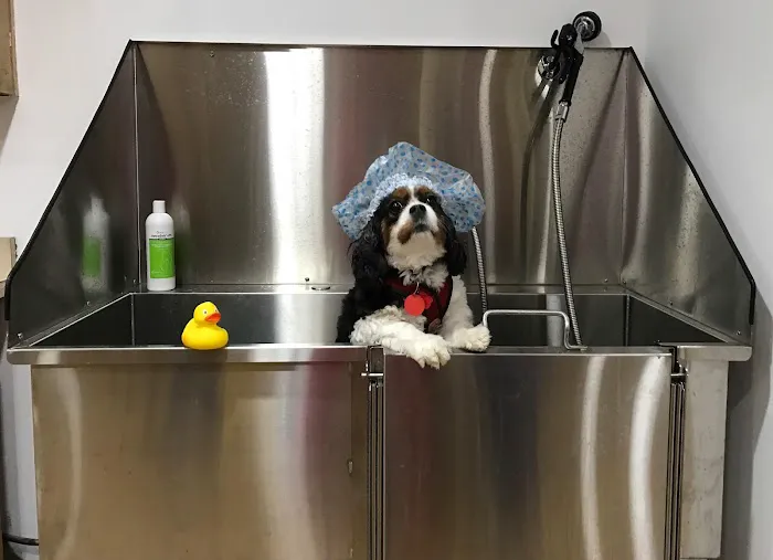 Setauket Animal Hospital Picture 9