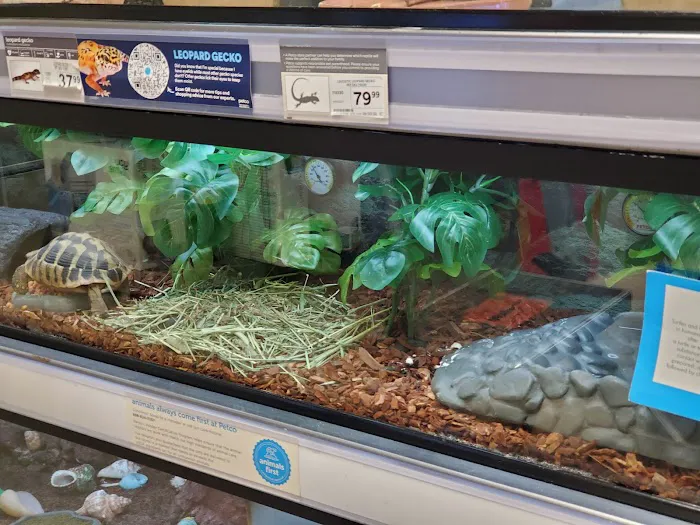 Petco Picture 2