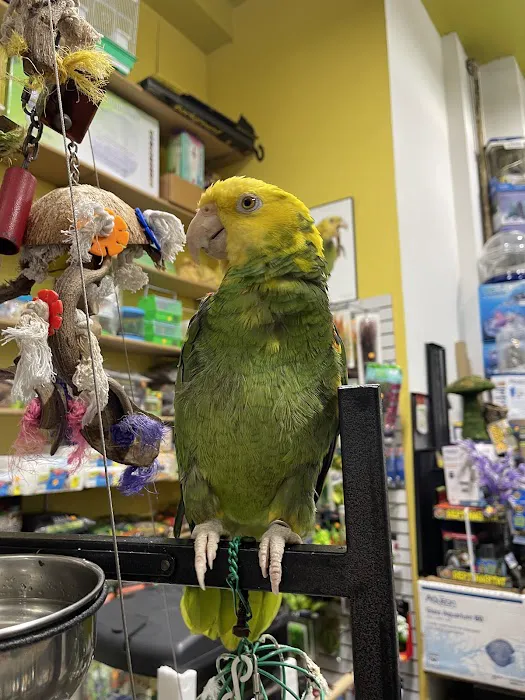 Petco Picture 7