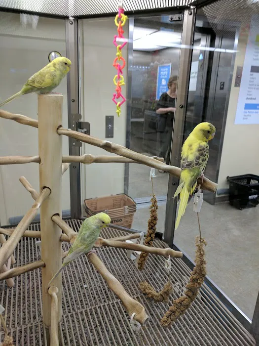 Petco Picture 1