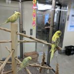 Petco