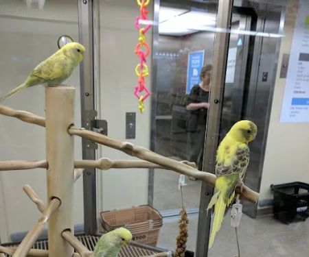 Petco