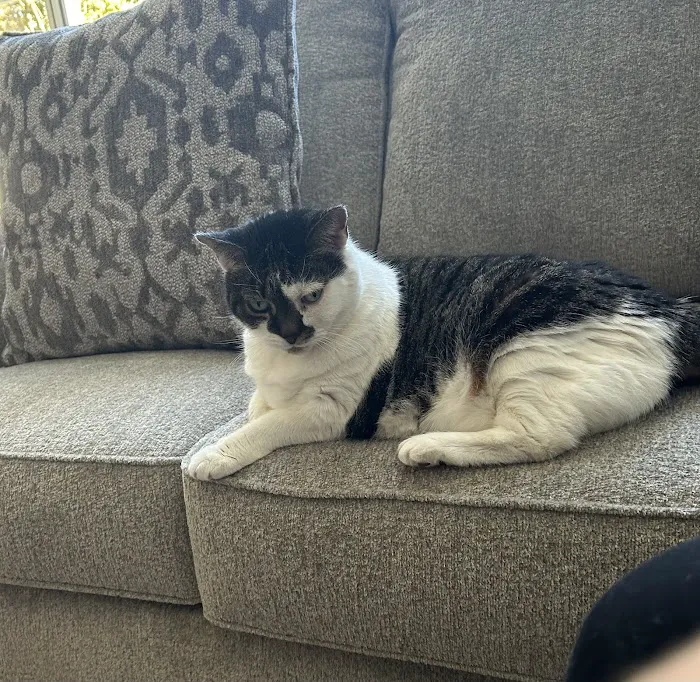 Pet ER Picture 4
