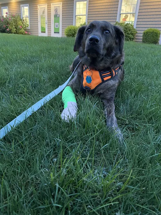 Pet ER Picture 6