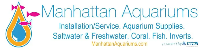 New York Aquarium Service Picture 5