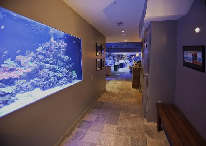 New York Aquarium Service Picture 7