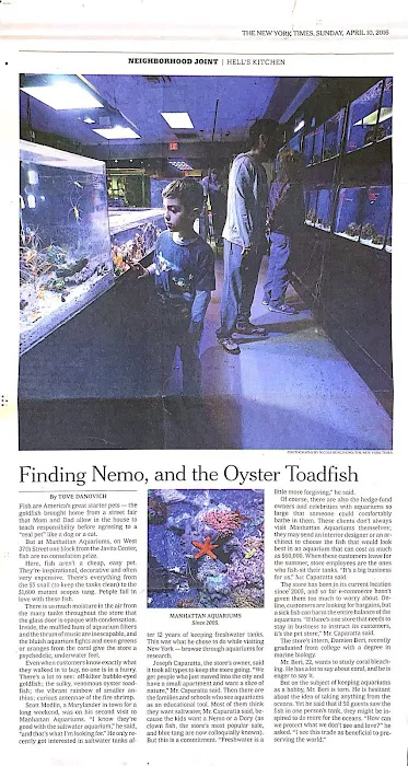 New York Aquarium Service Picture 8