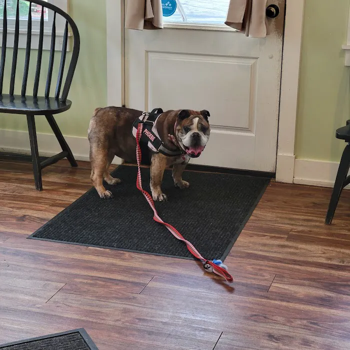 Animal Health & Wellness Veterinary Office Picture 10