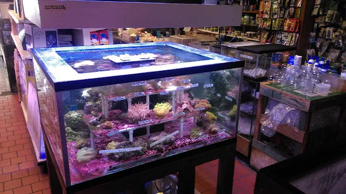 Paradise Aquarium Picture 1