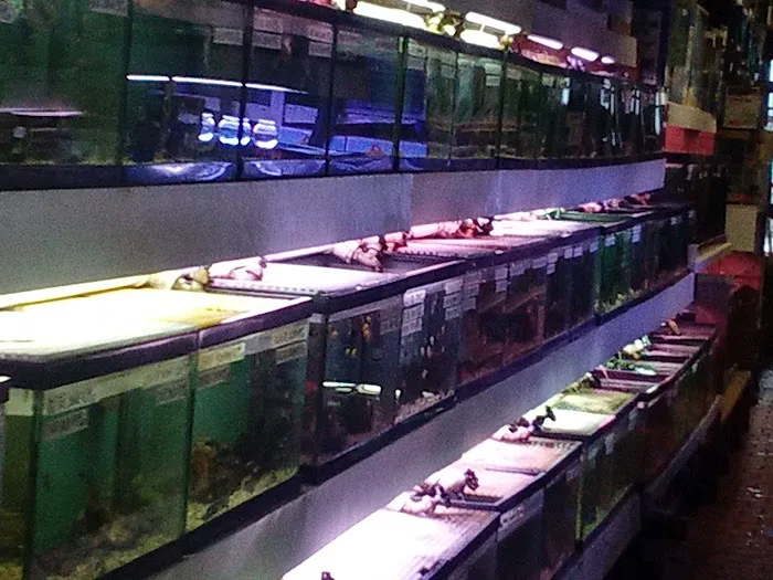 Paradise Aquarium Picture 6