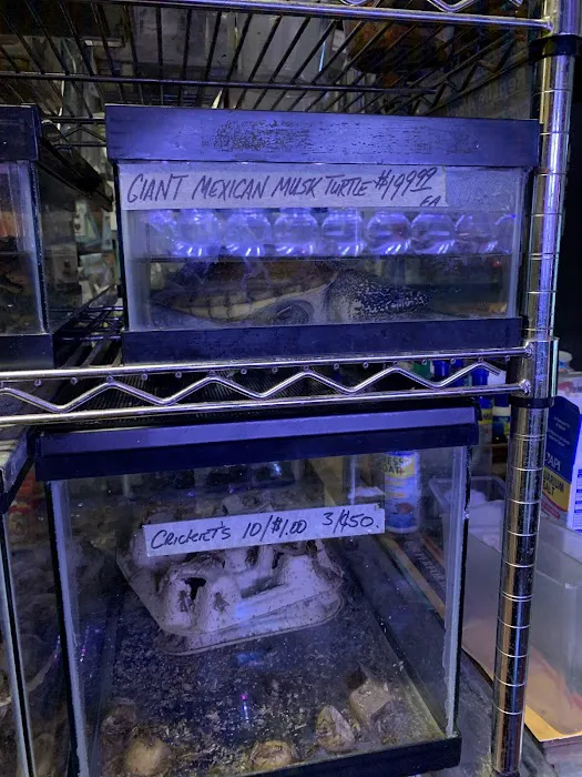 Paradise Aquarium Picture 10