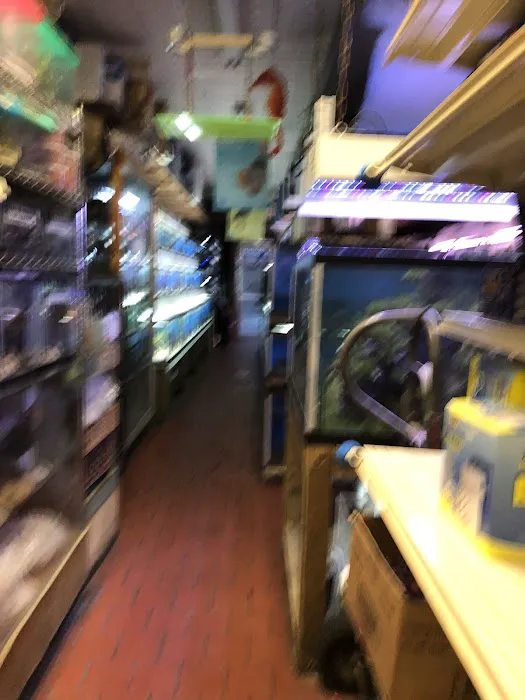 Paradise Aquarium Picture 7