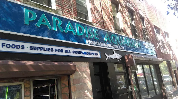 Paradise Aquarium Picture 3