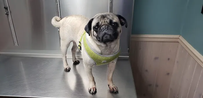 Countryside Animal Hospital Picture 9