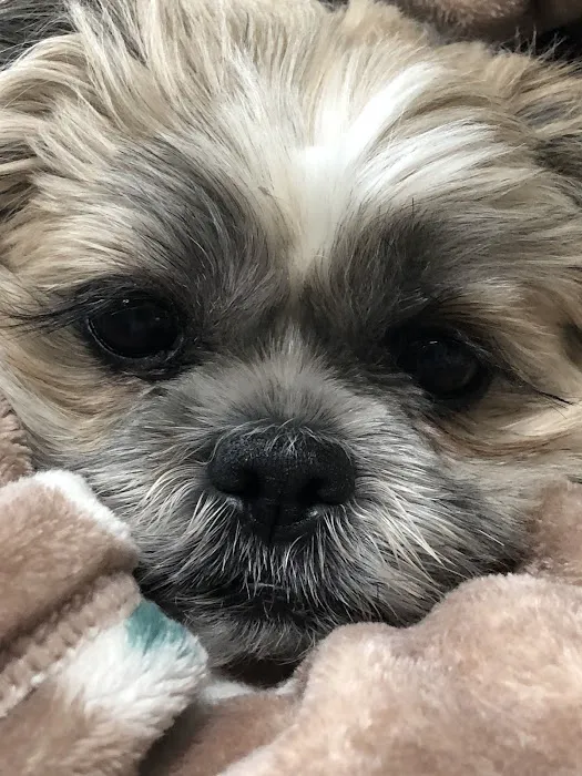 Jefferson Animal Hospital Picture 2