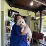 Jefferson Animal Hospital