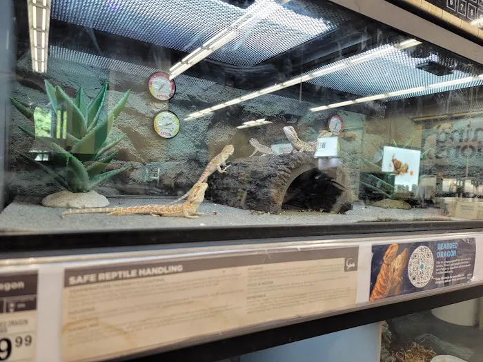 Petco Picture 5