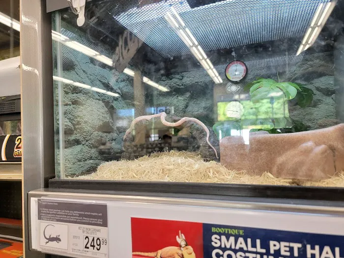 Petco Picture 4