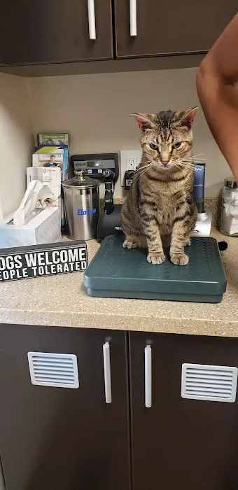 Roosevelt Animal Hospital Picture 7