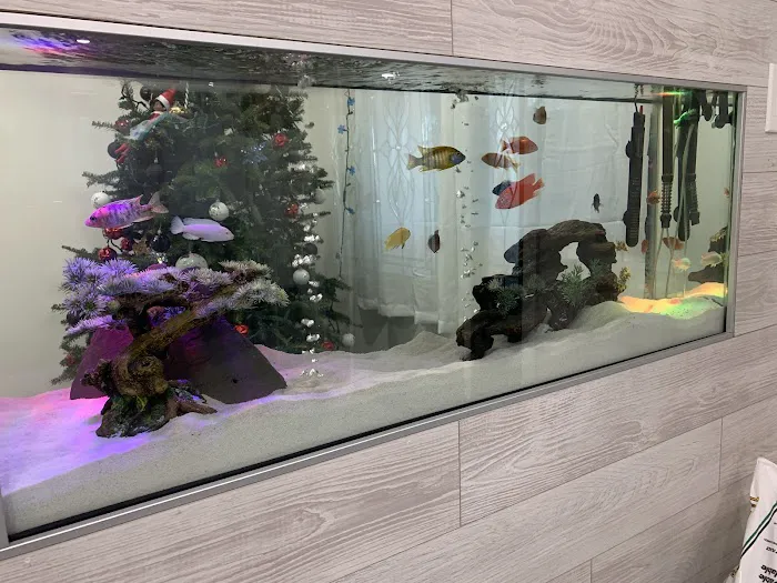 The iFISH Store Picture 3