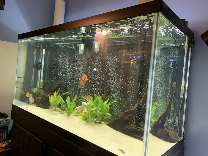 The iFISH Store Picture 8
