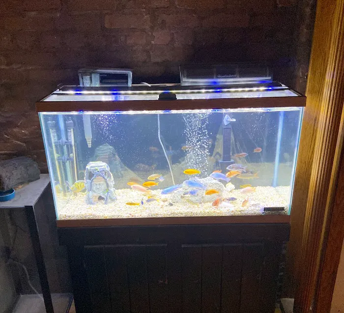 The iFISH Store Picture 6