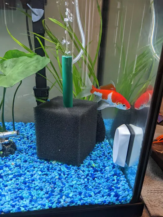 The iFISH Store Picture 5